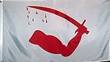 3x5 Super Polyester Dimmit's Goliad Flag of Texas Flag Indoor Outdoor