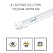 Hyperikon T8 T10 T12 2ft LED Bulbs, Fluorescent Replacement Tube, Dual-End Powered, 8W (25W Equiv.), 5000K, Clear, 1150 Lumens, Shatterproof, Shop Light for Kitchen, Garage, Warehouse - Pack of 4