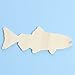 Pack of 24 Unfinished Wooden Trout Fish Cutouts Blank Fishing Shapes Sports Beach Nautical DIY Craft Projects Made in USA (Size: 5-1/2