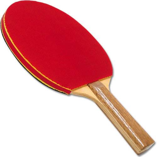 Gamecraft Rubber/Foam Pip Paddle, Medium
