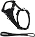 Amazon Basics Adjustable Dog Leash with Harness, Large (50-80 lbs.)