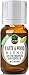 Healing Solutions Earth & Wood Blend Essential Oil - 100% Pure Therapeutic Grade - 10ml