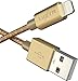 Luxtr - iPhone Charger - 6.5 ft - True Apple Certification, ToughArmor Aluminum and Nylon Design, Works with All Lightning Devices - Gold