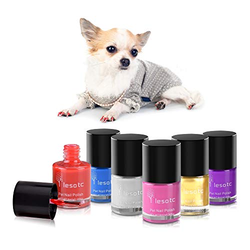 The Best Dog Nail Polish Dogtime