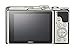 Nikon COOLPIX A900 Digital Camera (Silver)