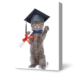 Canvas Wall Art Dr Cat Funny Modern Home Decor Canvas Painting Wall Decoration for Bedroom Living Room - 12x18 inches