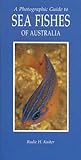 Front cover for the book Guide to Sea Fishes of Australia by Rudie H. Kuiter