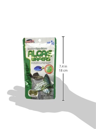 Hikari Tropical Mini Algae Wafers, 0.77...