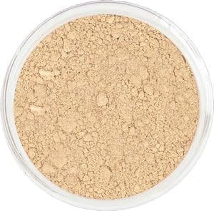 Studio Mineral Makeup Premium Best Powder Concealer / Medium