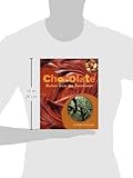 Image de Chocolate: Riches from the Rainforest