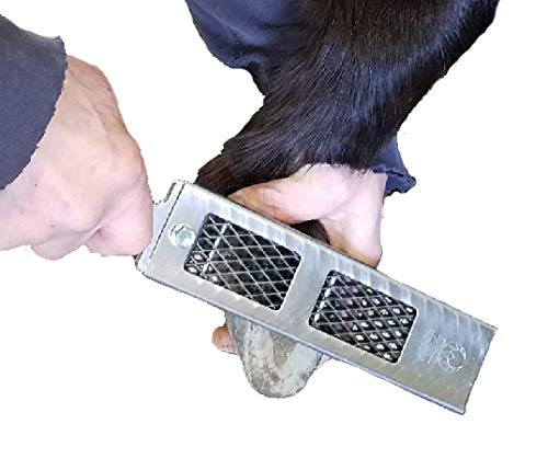 Cody James Littlefoot Rasp - Best Mini File to Trim Smaller Hooves -Choose Fine, Medium or Aggressive (FINE)