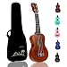 POMAIKAI Soprano Wood Ukulele Rainbow Starter Uke Hawaii kids Guitar 21 Inch with Gig Bag for kids Students and Beginners (Brown)