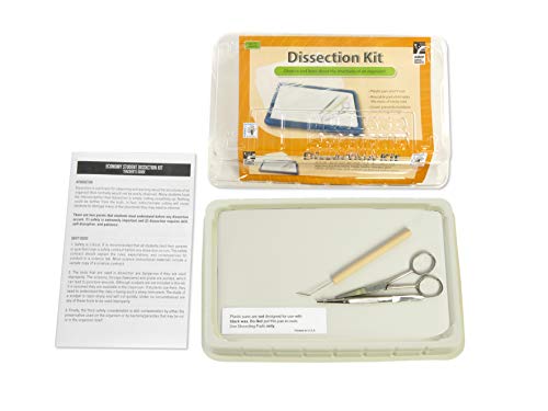 American Educational Economy Dissection Student Kit