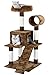 Go Pet Club F76 Tree Condo Scratcher Post Pet Bed Furniture, 50-Inch, Brownthumb 1