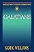 Galatians (Abingdon New Testament Commentaries)