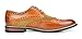 Bruno Marc Men's Dress Shoes Wingtip Oxford Prince-09 Brown 10.5 M US