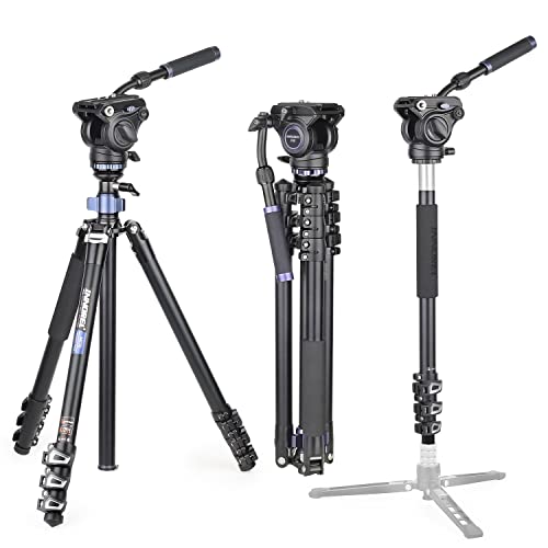 Innorel Mt70 Trépied De Caméra Vidéo Professionne, avec Tête De Traînée Fluide, Trépied Compact En Aluminium à 4 Sections Convertible En Monopode pour Appareil Photo Reflex Numérique, Caméscope Vidéo