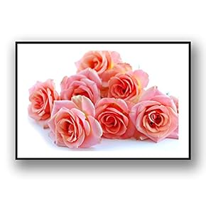 Framed Canvas Wall Art for Living Room, Bedroom Rose Flowers Canvas Prints for Modern Home Decoration Ready to Hang - 16"x24" inches