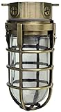 Woods L1706AB Vandal Resistant 150W Incandescent Security Light, Ceiling Mount, Antique Brass (Tools &amp; Home Improvement)