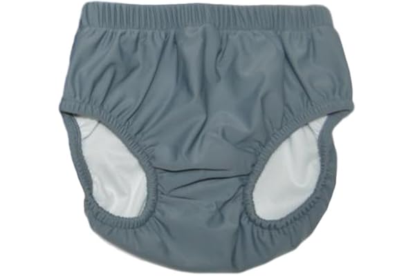 Child, Youth, & Special Need My Pool Pal Swimsters Resuable Swim Diaper (Grey, XS-6/8)