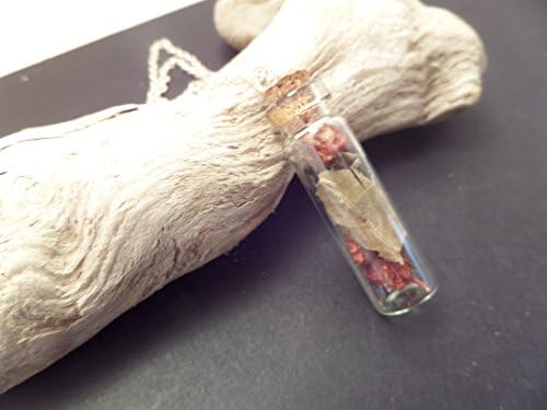 Scottish Rowan Berry Necklace in a Glass Bottle, Tiny Vial Terrarium