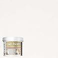 VASARI Lime Plaster & Paint | LIME PAINT | Made from Natural Lime and Powdered Marble | color: White Sand #12 | size: 1 Quart