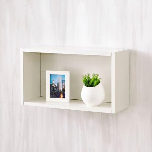 Durable Varick Gallery Andrade Wall Rectangle Eco Decorative Accent Shelf, Aspen White