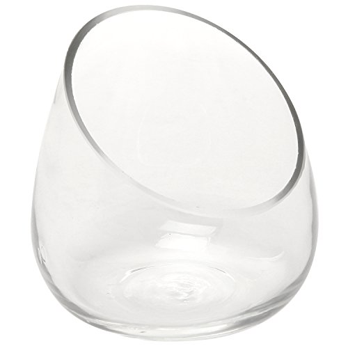 Modern Clear Glass Succulent Plant Vase / Small Candle Sconce / Decorative Storage Jar