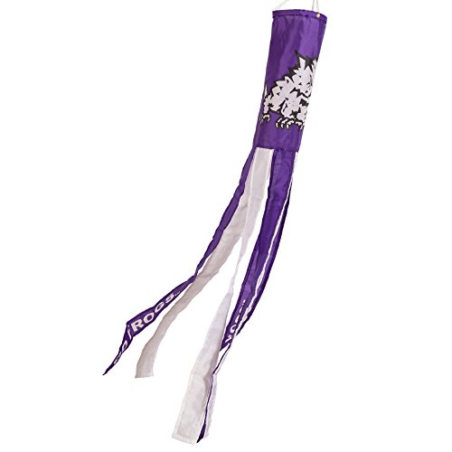 College Flags and Banners Co. Texas Christian Horned Frogs Windsock