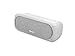 Sony SRSXB30/WHT XB30 Portable Wireless Speaker with Bluetooth, Grey