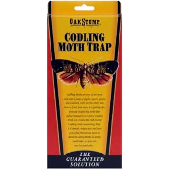 Springstar Oak Stump Codling Moth Trap S1506
