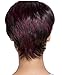 Deifor Women Fashionable Short Straight Two Tone Wine Mix Black Wigs for Cosplay Party Daily Use