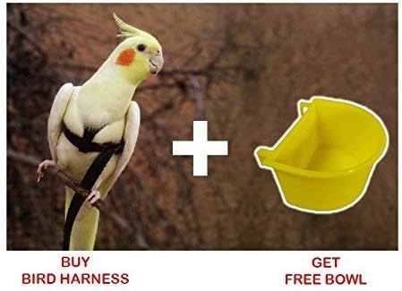 Pawzone Pet Bird Harness for Small Birds & Cockatiel Birds