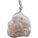 Seashells Mixed Bag of 200 Assorted Piece Bulk Pack for Home Kitchen Offices Indoors and Outdoors Wedding Baby Shower Birthday Summer Beach Nautical Theme Kids Party Favor Craft Supplies Décor