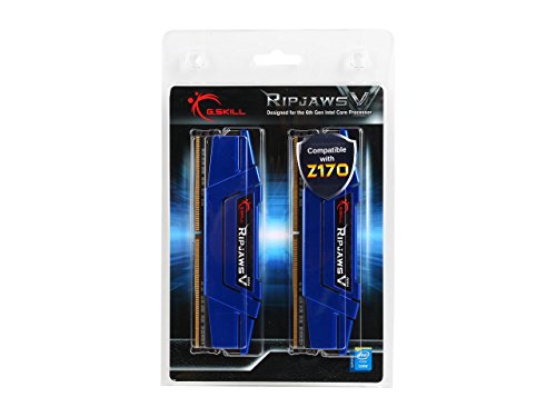 G.SKILL Ripjaws V Series 16GB (2 x 8GB) 288-Pin SDRAM DDR4 2666 (PC4 21300) Memory F4-2666C15D-16GVB