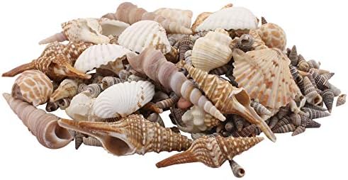 Amazing Stones Mix Pattern Sea Shells for Home Decoration and Aquarium, Brown-Cream, 5 kg