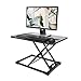 Hippo & Frog Standing Desk Height Adjustable Standing Desk Converter Sit to Stand Desk Riser