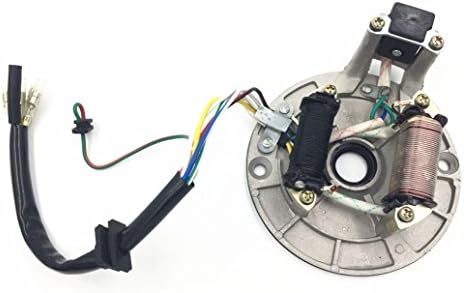 Jinkaye 2 coil ATV Quad STATOR IGNITION MAGNETO PLATE 50 110 125 110cc taotao