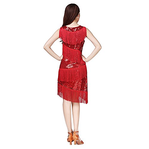 Jlong Swirling Tassels Latin Dance Dress Shining Sequins Sleeveless Rhythm Ballroom Salsa Samba Rumba Tango Dancewear