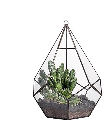 Modern Indoor Opening Wall Hanging Glass Geometric Terrarium Polyhedron Diamond Teardrop Shape Pot Tabletop Window Sill Balcony Decorative Planter Succulent Air Plant Holder Vase Centerpiece 8 6 Buy Online At Best Price In