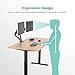 EleTab Electric Standing Desk Frame — Electric Single Motor Height Adjustable Ergonomic Sit Stand Desk Legs Workstation Base (Black Frame Only)