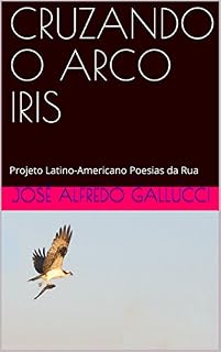 Livro CRUZANDO O ARCO IRIS: Projeto Latino-Americano Poesias da Rua (Projeto Latino-americano: "POESÍAS DA RUA")