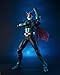 TAMASHII NATIONS Bandai S.I.C. Kamen Rider 2 Action Figure