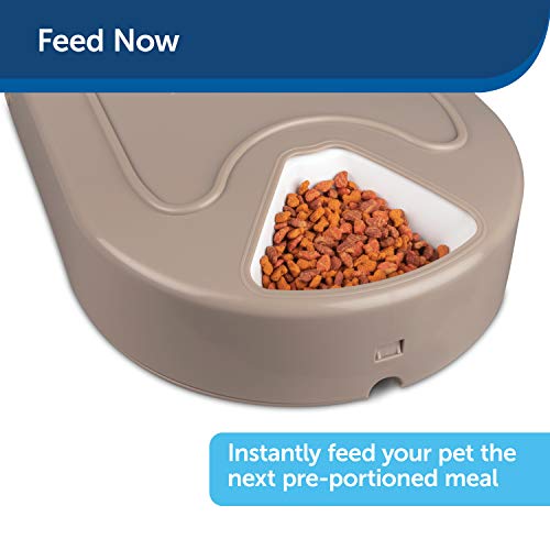 PetSafe 5 Meal Automatic Pet Feeder, Dog and Cat Dry Food Dispenser, with Digital Clock and Portion Control, 1 Cup… - Image 6