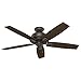 Hunter Donegan Indoor Ceiling Fan with LED Light and Pull Chain Control, 52