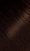 #45 Chocolate Bigen Permanent Powder - 3 Pack