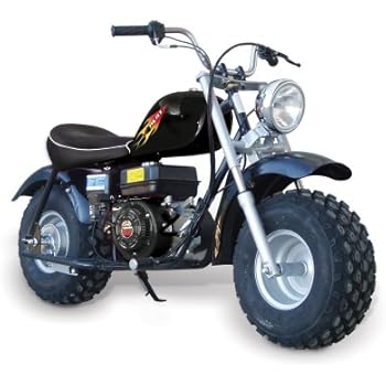 monster moto 250 watt