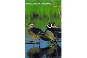 North American Game Birds