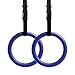 Reehut Gymnastic Rings W/Adjustable Straps, Metal Buckles & Manual - Home Gym (Set of 2) - Non-Slip - Great for Workout, Strength Training, Fitness, Pull Ups and Dips, Ebook Included