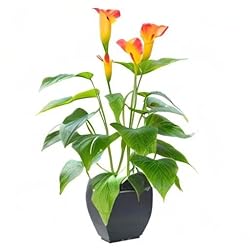 Artificial Flower Plants Calla Lily Faux Small